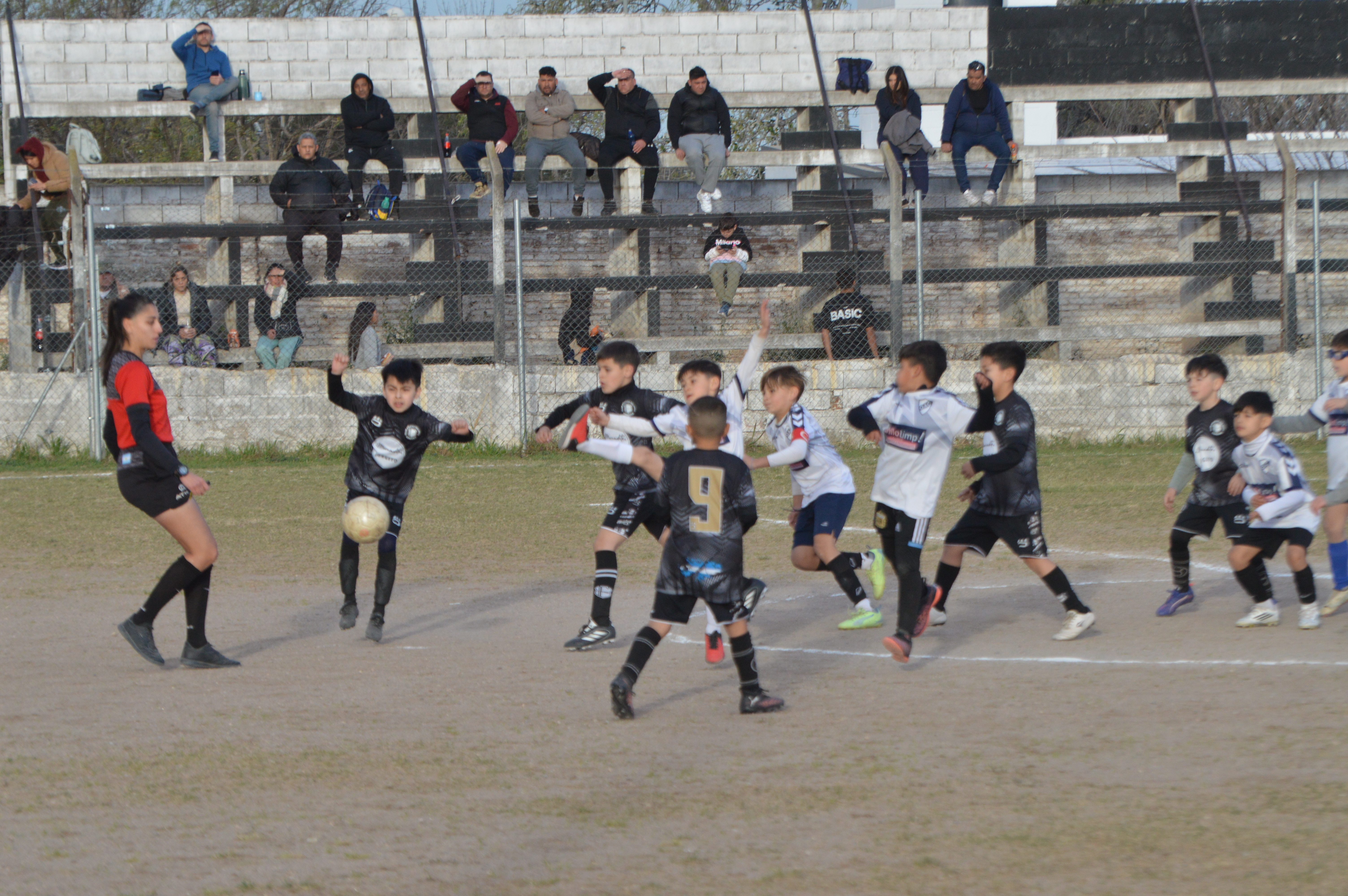 Imagen 3